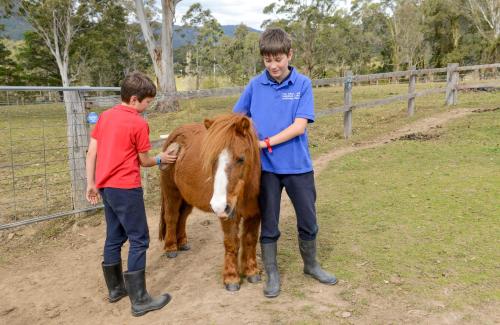 The Big Bell Farm