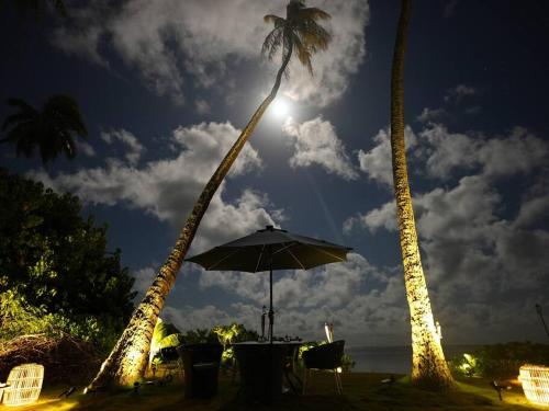 Garden, Aloha Beachfront ホノルル - Hawaii Kai in Kahala