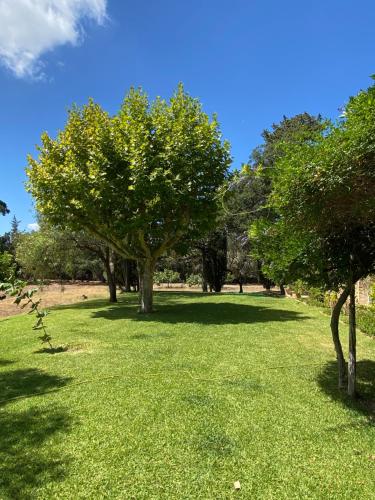 Villa provençale familiale avec piscine