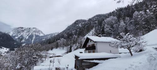  Haus Stehbock, Pension in Partenen