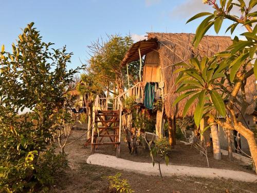 Eco Tourist Dream Stay Tree House