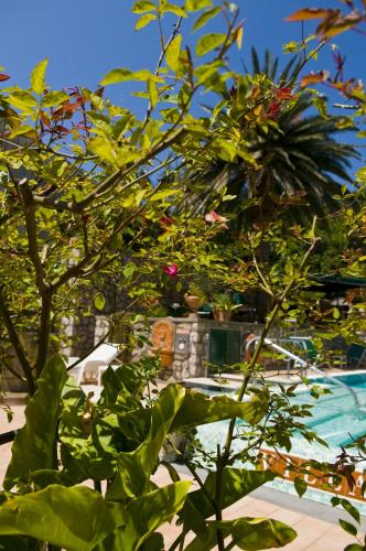 Hotel Villa Sarah - image 8