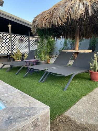 Jardín, Palmhouse Apartments Aruba 1- 4 persons in Barcadera