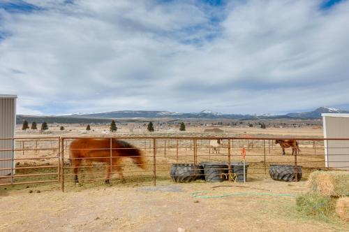 Ranch Escape with Patio about 21 Mi to Bryce Canyon