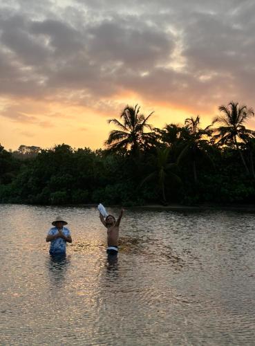 Tierra de Agua Palomino