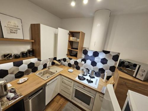 Konyha, Apartament w Centrum in Ciborz