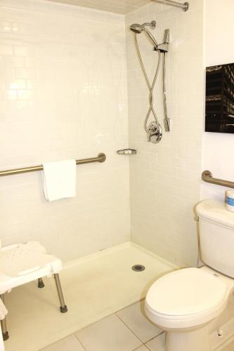 King Room Hearing Accessible with Roll-In Shower