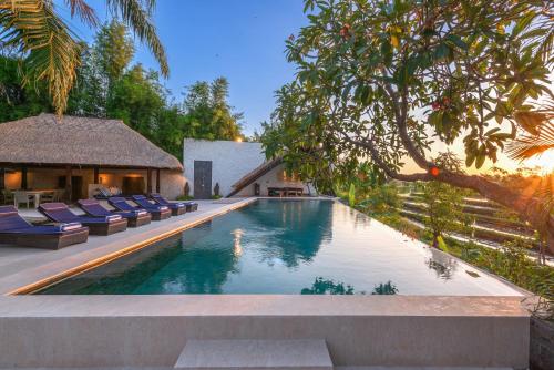 Superior Villa image 7
