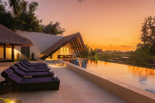 Superior Villa image 5