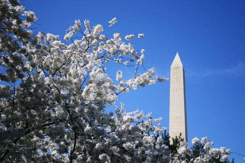 Embassy Suites by Hilton Washington DC Chevy Chase Pavilion - image 9