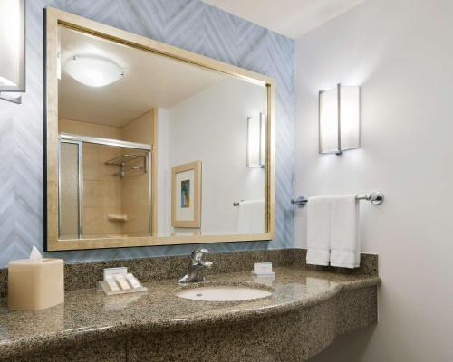 Hilton Garden Inn Dallas Richardson - image 4