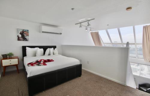 Little Italy Modern Lofts - image 9