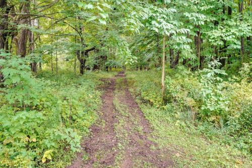 Pet-Friendly Jamestown Cabin with Fire Pit and Deck!