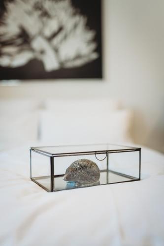 Romantic JUMP Studio overlooking river, free parking, Ljubljana (photo 9)