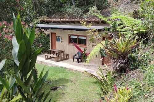 CASITA EN EL BOSQUE