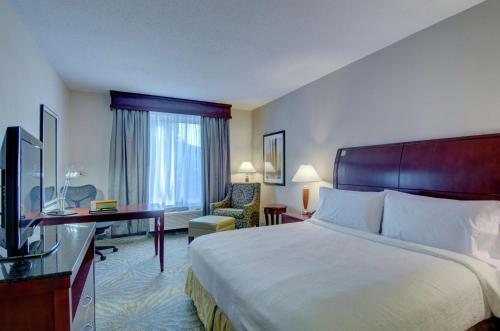 Hilton Garden Inn Room Type - King Room