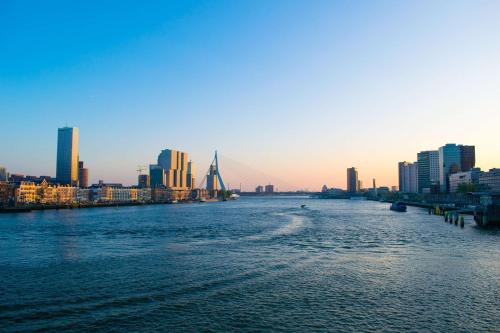 Hilton Rotterdam - image 5