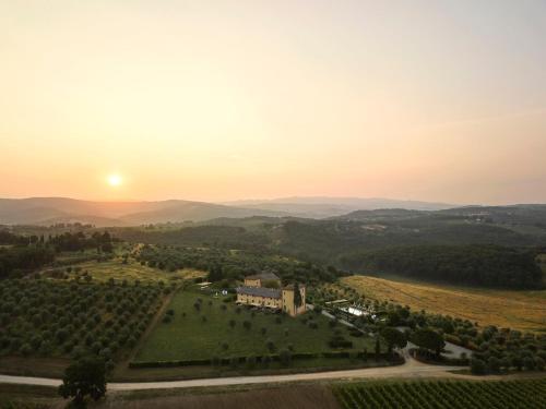 490837698 Castello Del Nero - Podere San Filippo