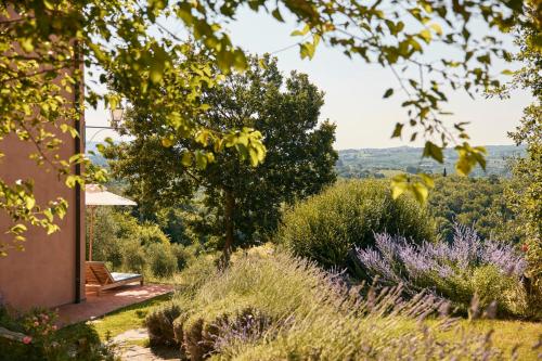 490837702 Castello Del Nero - Podere San Filippo