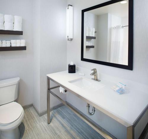 Hilton Garden Inn Dallas/Arlington South - image 10