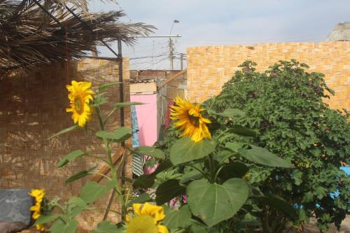 Hostel Posada de Gallo