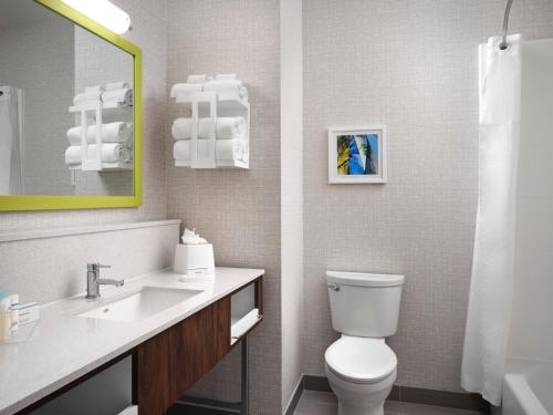 Hampton Inn by Hilton Pinellas Park St. Petersburg - 화장실