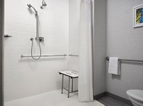 Hampton Inn by Hilton Pinellas Park St. Petersburg - 샤워실