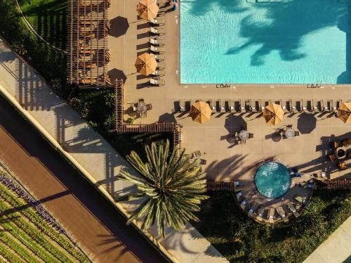 The Cassara Carlsbad Tapestry Collection By Hilton - image 5