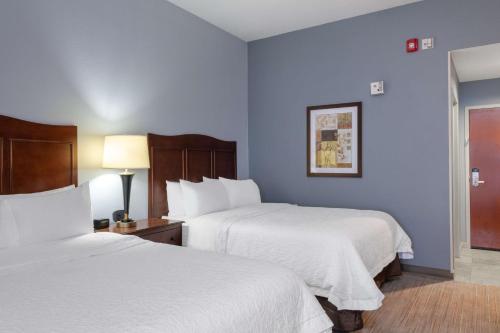 Hampton Inn Denver-International Airport