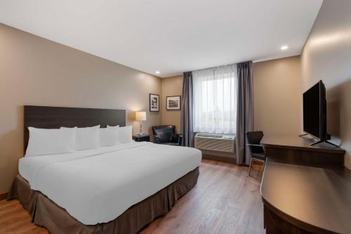 1 king bed