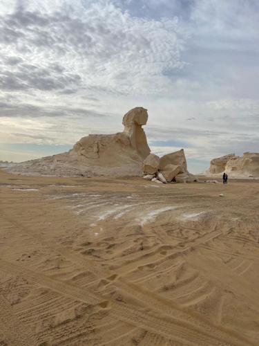 Egypt white and black desert with Camping in Bawiti