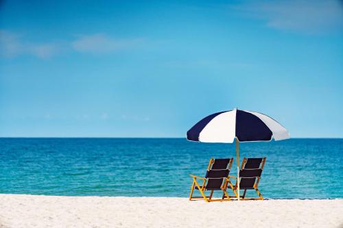 Hilton Garden Inn St. Pete Beach FL - image 39