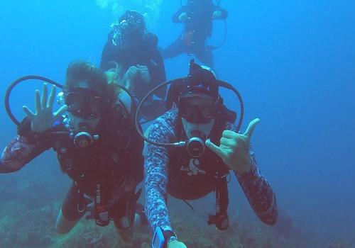 Panama Dive Adventure in Colon