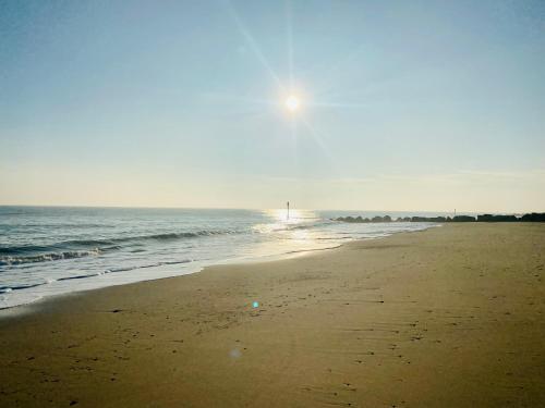 pludmale, The Pollywiggle, Waxham, nr Sea Palling, Dog friendly, Private path to the beach in Sea Palling