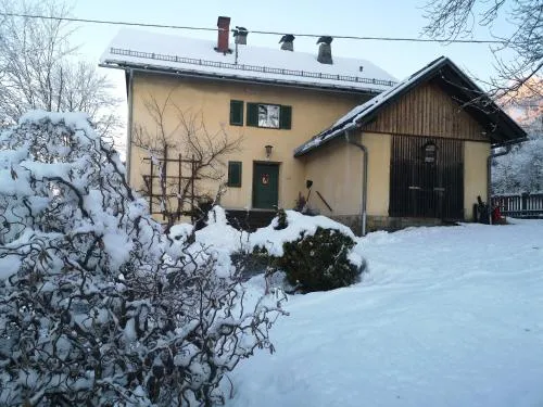 Ferienwohnung im alten Zollhaus in Dellach, Österreich
