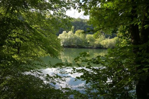 Dārzs, La Villa du Papetier in Montferrand-le-Chateau