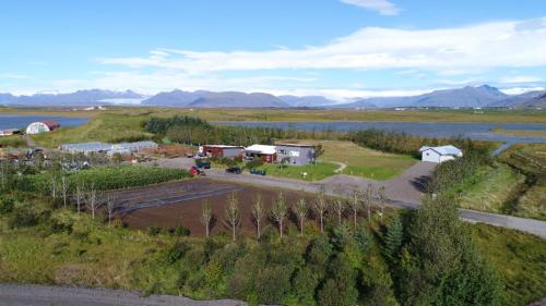 Dilksnes Guesthouse in Hornafjordur