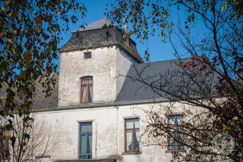 Le domaine du château blanc à 10 minutes de Paira Daiza