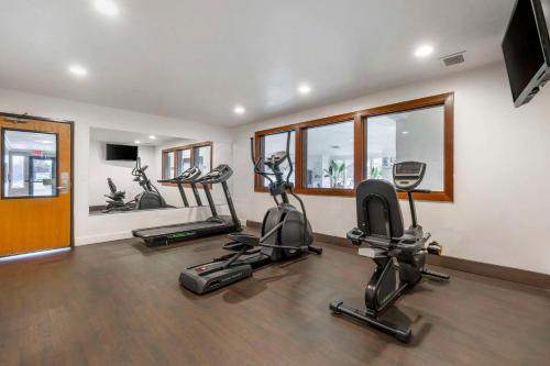 Comfort Inn & Suites Redwood Country - image 3