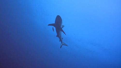 Rashuthere Maldives Rashuthere Maldives