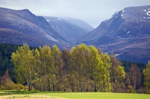 Silverglades Holiday Homes - main image