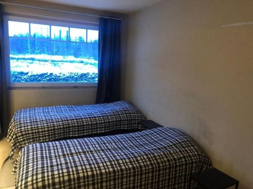Kotimaailma - Iso ja viihtyisä omakotitalo saunalla 9 henkilölle, Helsinki (foto 4)