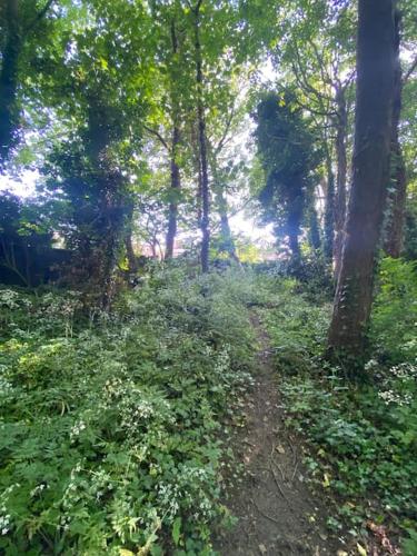 Leafy lodge in Lytham