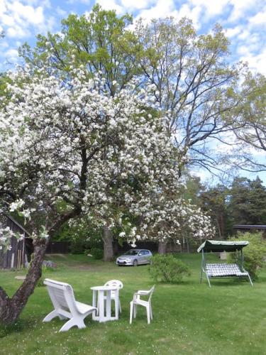 Cozy apartment near the airport in Babite