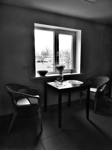 Cozy apartment near the airport in Babite