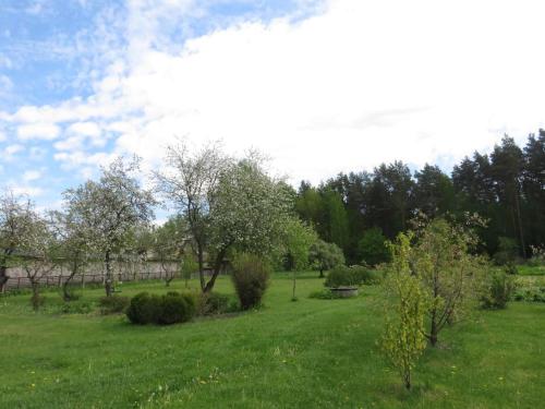 Cozy apartment near the airport in Babite