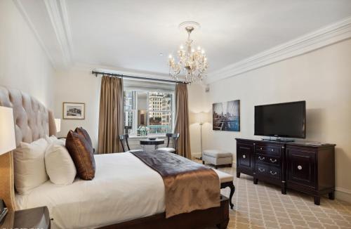 The Sherry Netherland, Nueva York (foto 11)