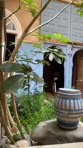 Riad Alamine - main image