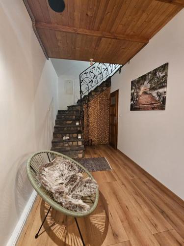 Apartament w Centrum in Ciborz