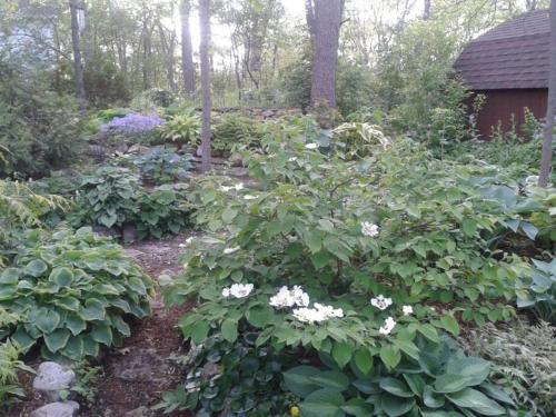 Enchanted Lodge in Fitchburg, USA
